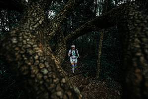 BIB: 
                            <button type="button" onclick="openModal(25700633)" class="btn btn-primary btn-sm float-right btn-popup" data-toggle="modal" data-target=".modal-high-quality">
                        <i class="fas fa-shopping-cart"></i> Add to Cart
                    </button>
                                            <button type="button" onclick="isThisMe(25700633, true)" class="btn btn-success btn-sm float-right btn-popup btn-isme hidden" data-toggle="tooltip" data-placement="bottom" title="นี่คือรูปของคุณใช่ไหม คลิกที่นี่เพื่อเอาเข้าอัลบั้ม">
                        <i class="fas fa-plus"></i> Add to album
                    </button>
                    <button type="button" onclick="isThisMe(25700633, false)" class="btn btn-warning btn-sm float-right btn-popup btn-isnotme hidden">
                        <i class="fas fa-ban"></i> Remove from album
                    </button>